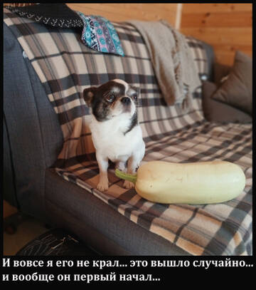 https://upforme.ru/uploads/0014/87/81/15/t669915.jpg