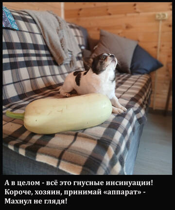 https://upforme.ru/uploads/0014/87/81/15/t919289.jpg