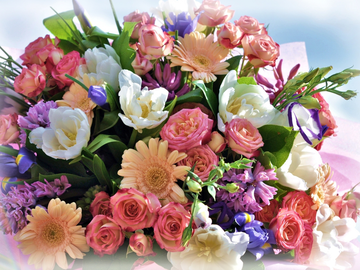 https://upforme.ru/uploads/0014/87/81/15/t988825.png