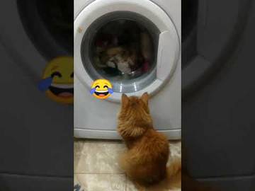 https://upforme.ru/uploads/0014/97/f4/12/t15882.jpg