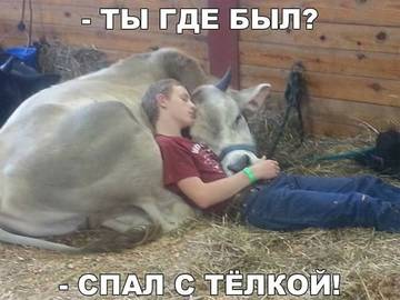https://upforme.ru/uploads/0014/97/f4/12/t194068.jpg