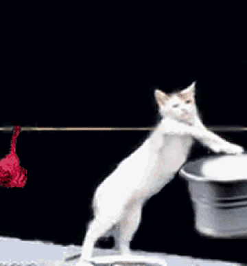 https://upforme.ru/uploads/0014/97/f4/12/t33013.gif
