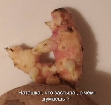 https://upforme.ru/uploads/0014/97/f4/12/t541655.jpg