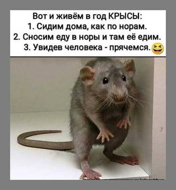 https://upforme.ru/uploads/0014/97/f4/12/t59634.jpg