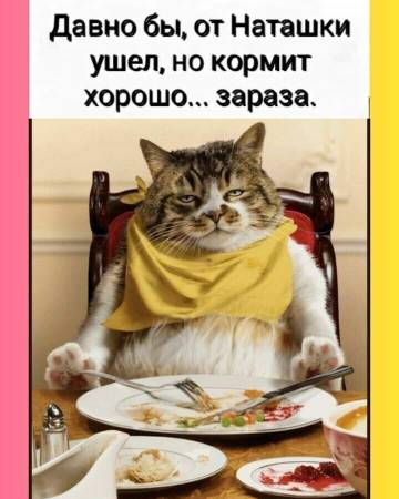 https://upforme.ru/uploads/0014/97/f4/12/t607782.jpg