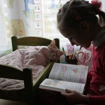 https://upforme.ru/uploads/0014/97/f4/12/t84047.jpg