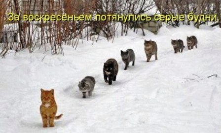 https://upforme.ru/uploads/0014/97/f4/218/168772.jpg