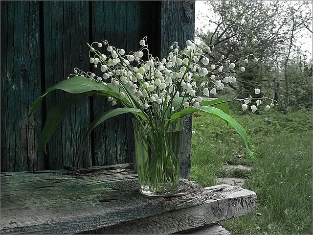 https://upforme.ru/uploads/0014/97/f4/218/303274.jpg
