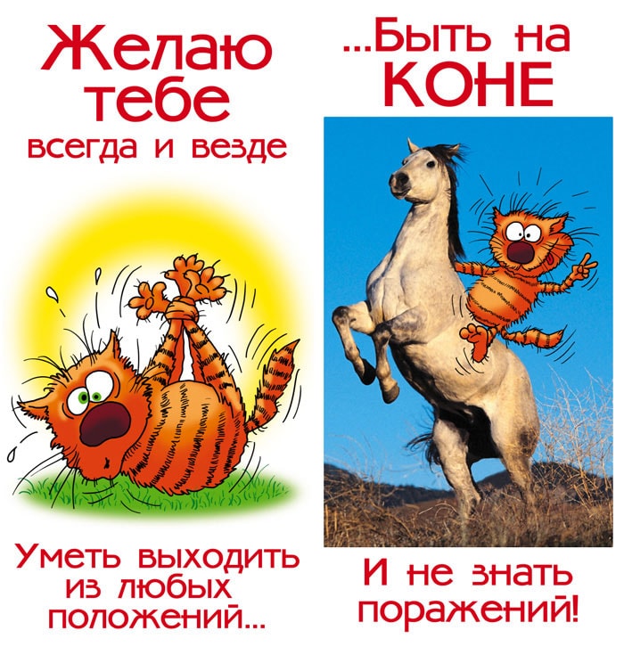 https://upforme.ru/uploads/0014/97/f4/218/466413.jpg