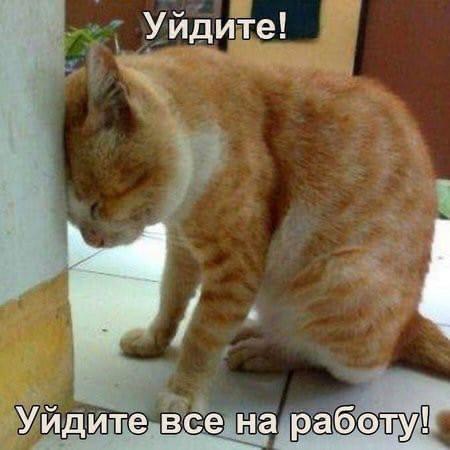 https://upforme.ru/uploads/0014/97/f4/218/563777.jpg