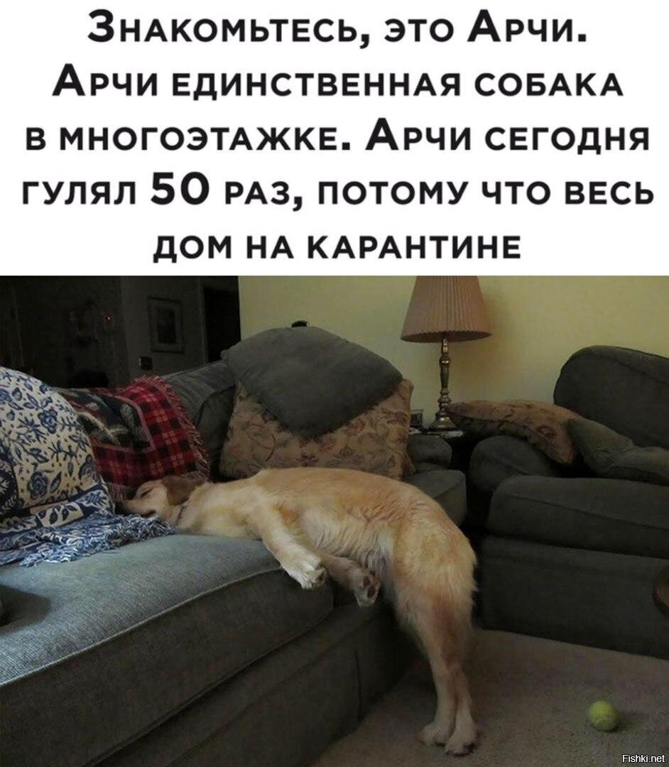 https://upforme.ru/uploads/0014/97/f4/218/66384.jpg