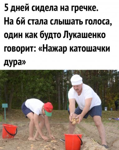 https://upforme.ru/uploads/0014/97/f4/218/915350.jpg
