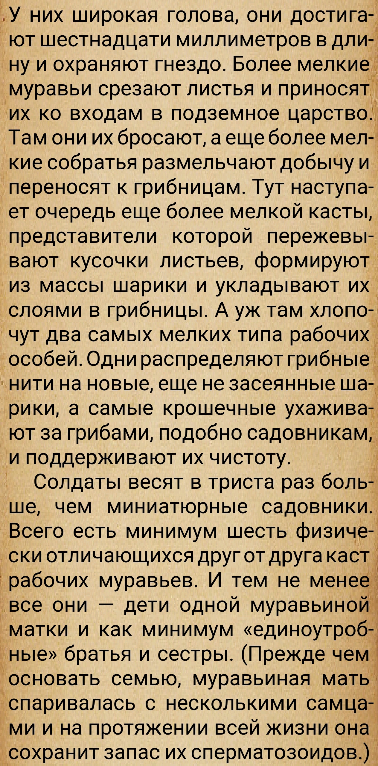 https://upforme.ru/uploads/0014/97/f4/28/104048.jpg
