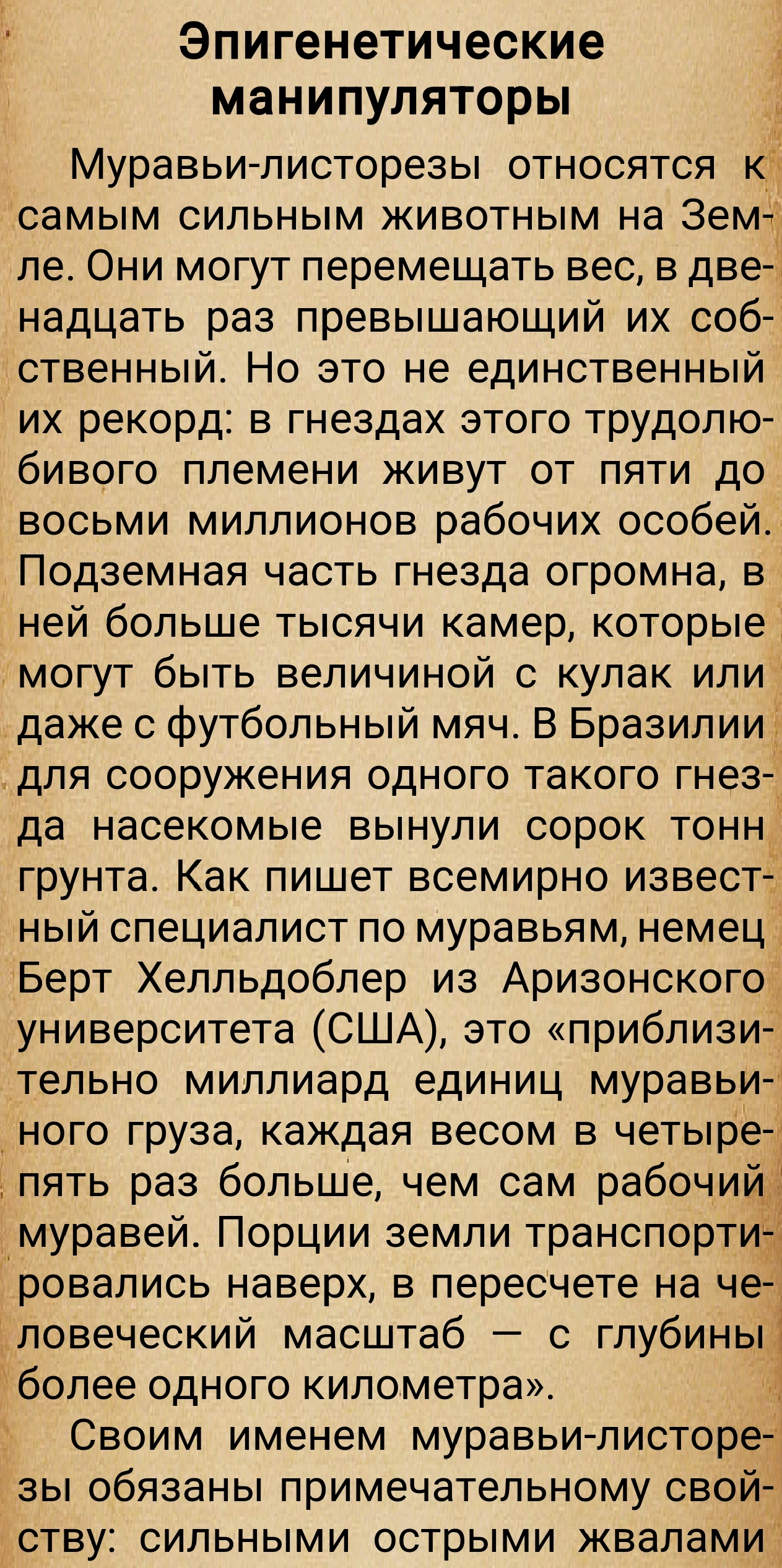 https://upforme.ru/uploads/0014/97/f4/28/17249.jpg