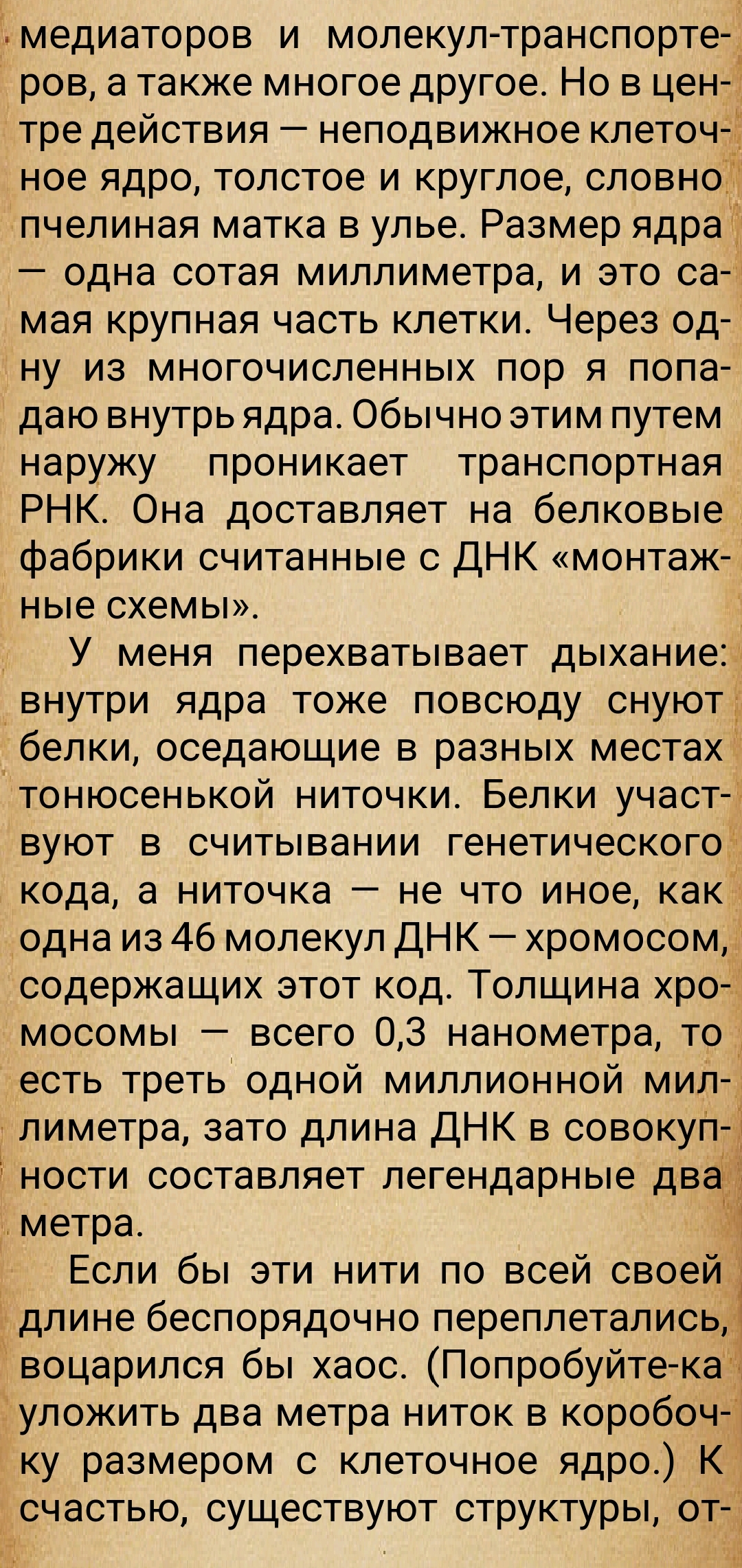 https://upforme.ru/uploads/0014/97/f4/28/24871.jpg