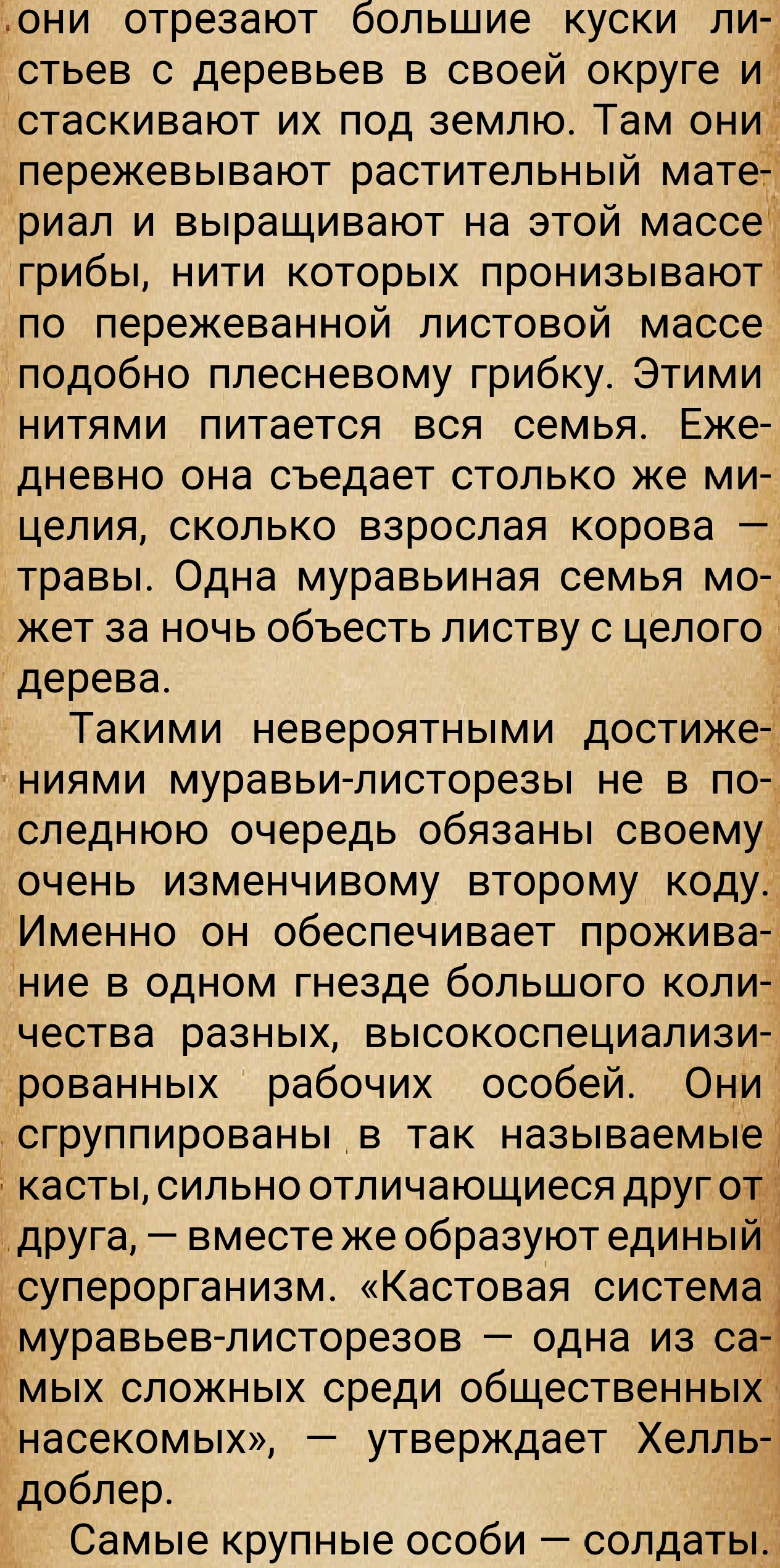 https://upforme.ru/uploads/0014/97/f4/28/369243.jpg