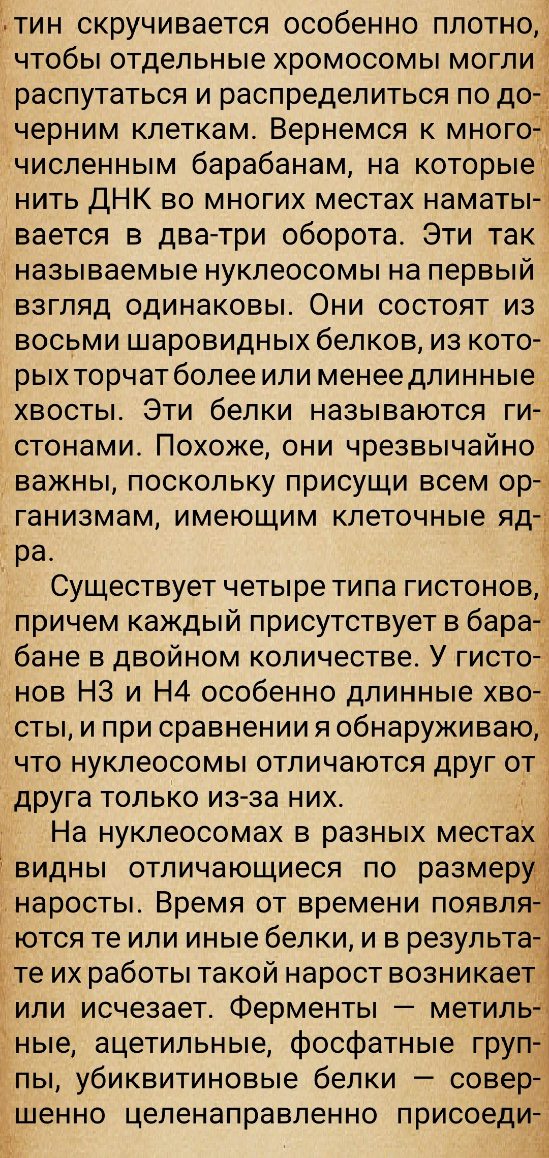 https://upforme.ru/uploads/0014/97/f4/28/459314.jpg
