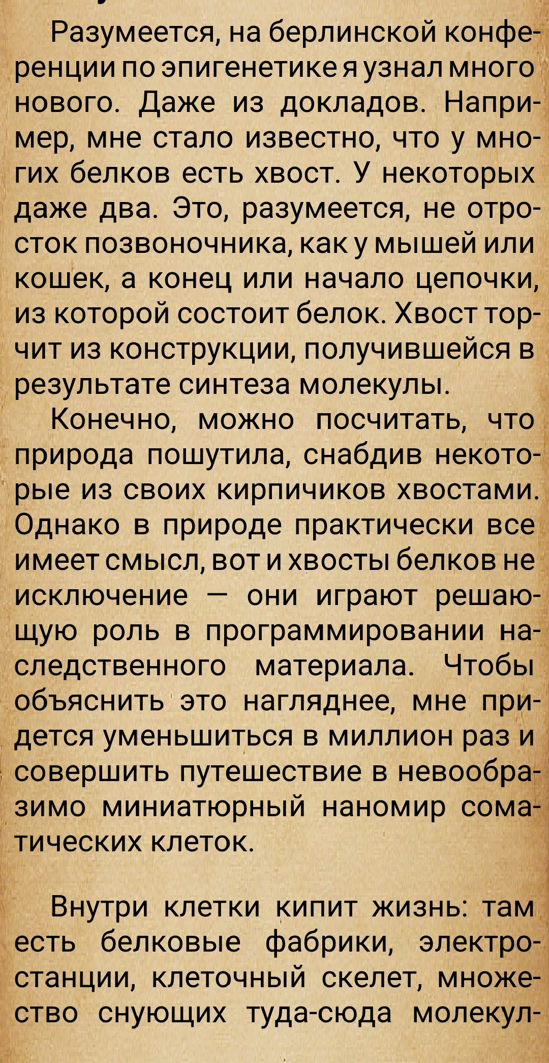 https://upforme.ru/uploads/0014/97/f4/28/531701.jpg