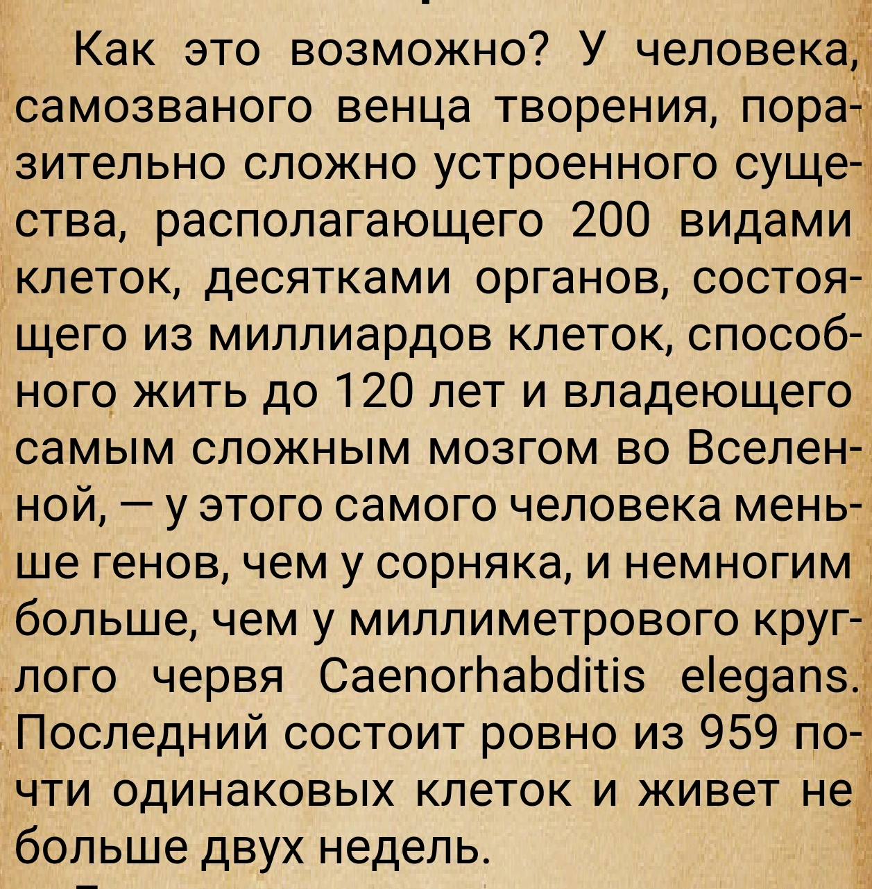 https://upforme.ru/uploads/0014/97/f4/28/562955.jpg