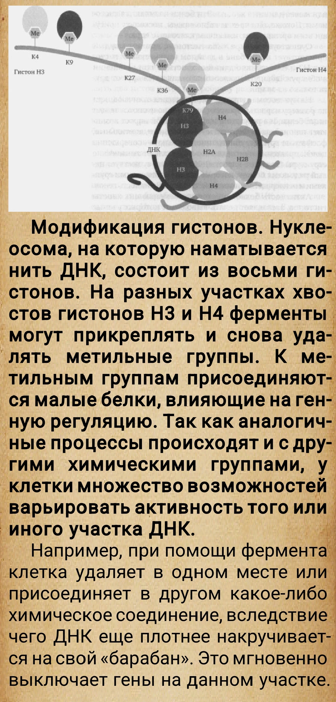 https://upforme.ru/uploads/0014/97/f4/28/645118.jpg