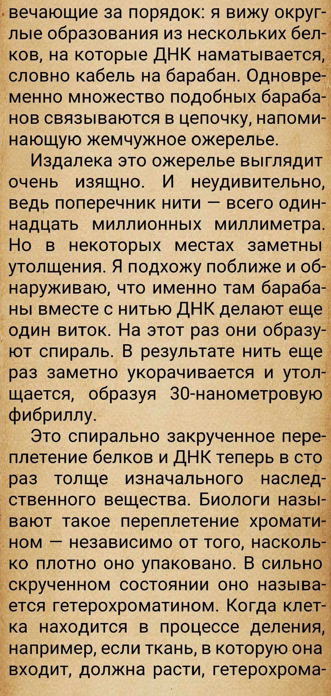 https://upforme.ru/uploads/0014/97/f4/28/691718.jpg