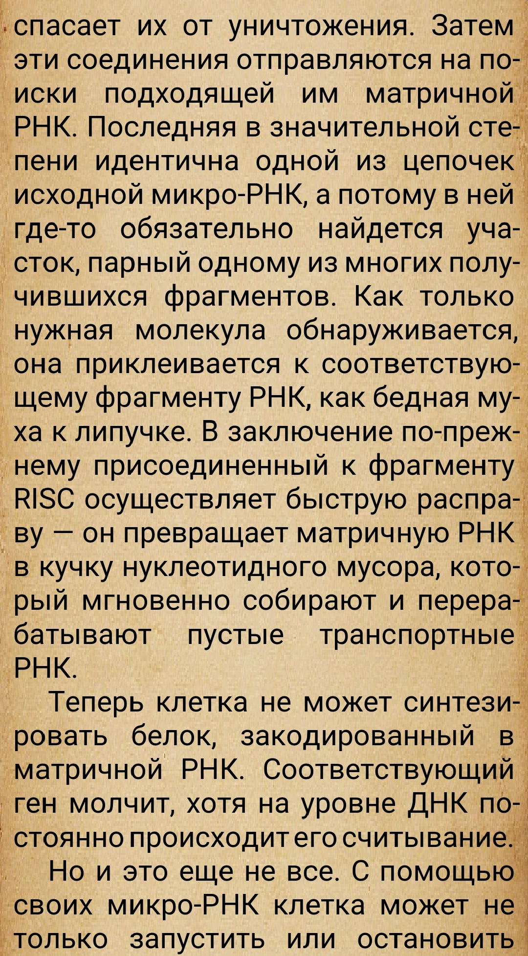 https://upforme.ru/uploads/0014/97/f4/28/741788.jpg