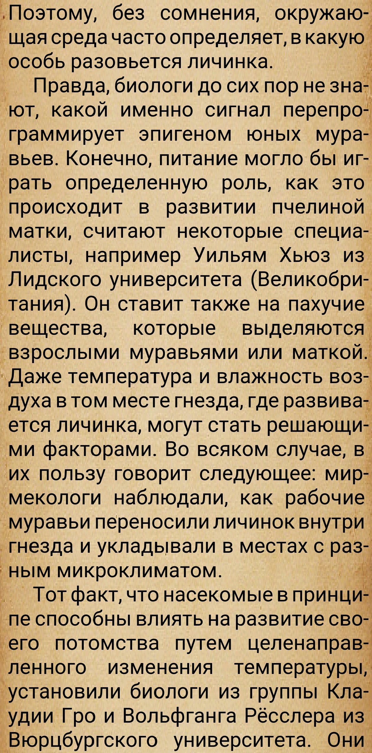 https://upforme.ru/uploads/0014/97/f4/28/782718.jpg