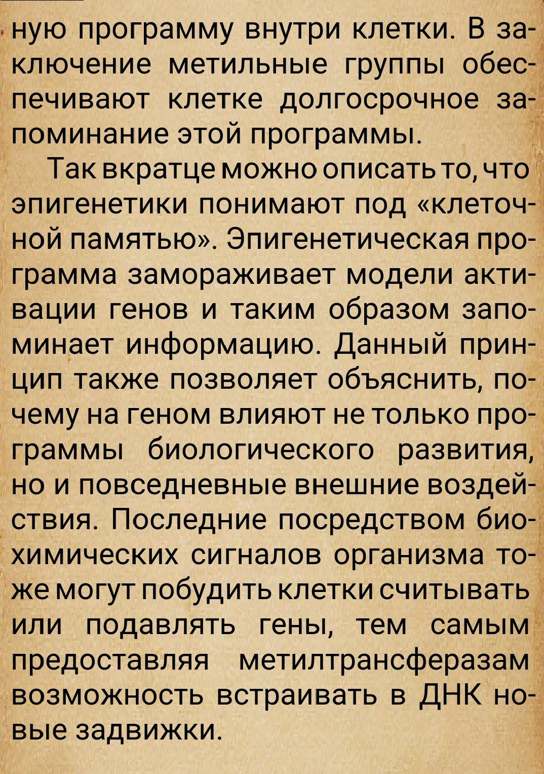 https://upforme.ru/uploads/0014/97/f4/28/848687.jpg