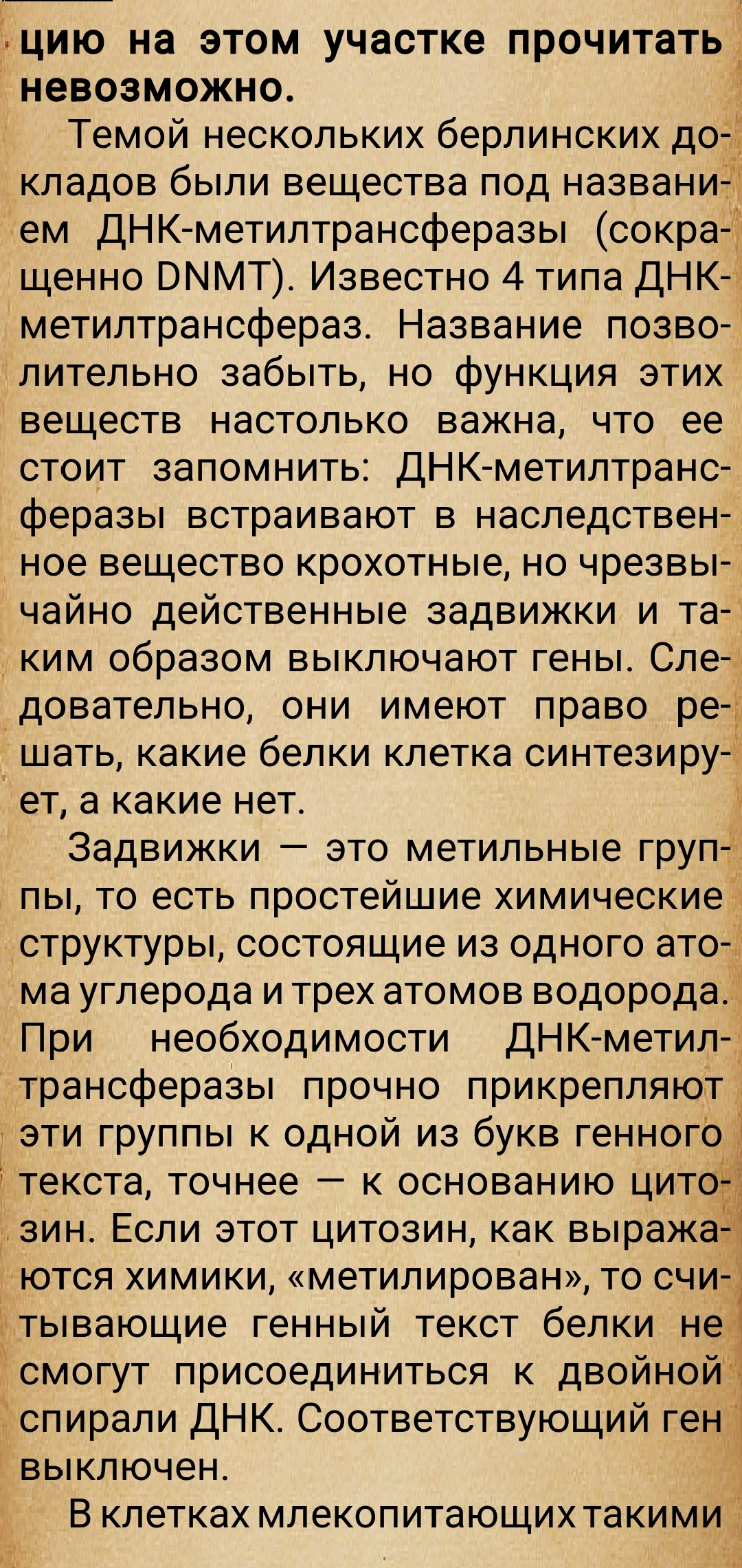 https://upforme.ru/uploads/0014/97/f4/28/94411.jpg