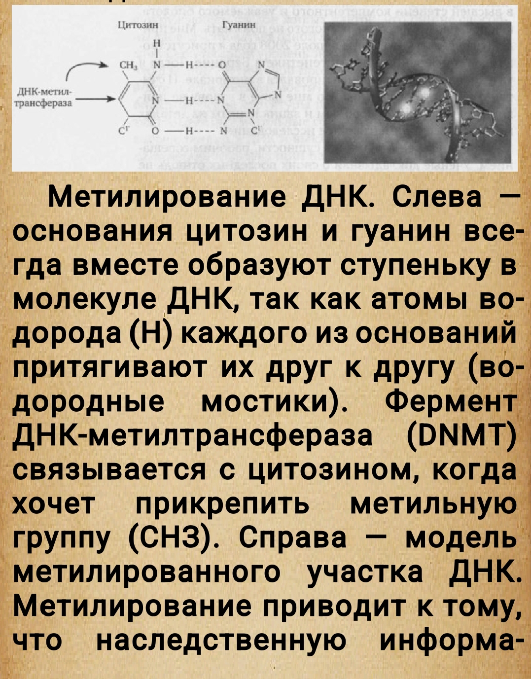 https://upforme.ru/uploads/0014/97/f4/28/963726.jpg