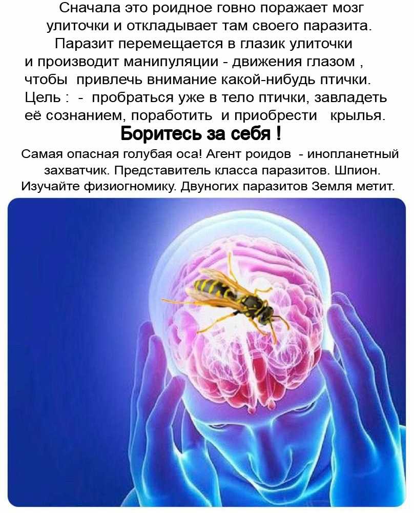 https://upforme.ru/uploads/0014/97/f4/383/886264.jpg
