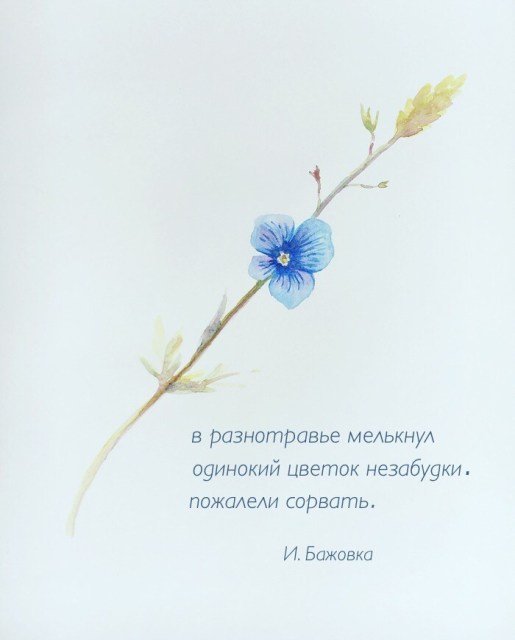 https://upforme.ru/uploads/0014/97/f4/40/94052.jpg