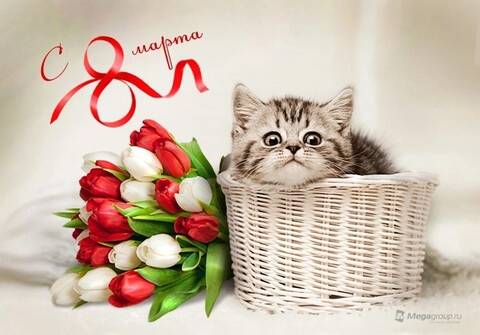 https://upforme.ru/uploads/0014/aa/18/3/t195157.jpg