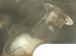 https://upforme.ru/uploads/0014/d2/5e/14/272785.png
