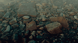 https://upforme.ru/uploads/0014/d2/94/2/488392.gif
