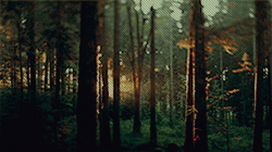 https://upforme.ru/uploads/0014/d2/94/2/84850.gif