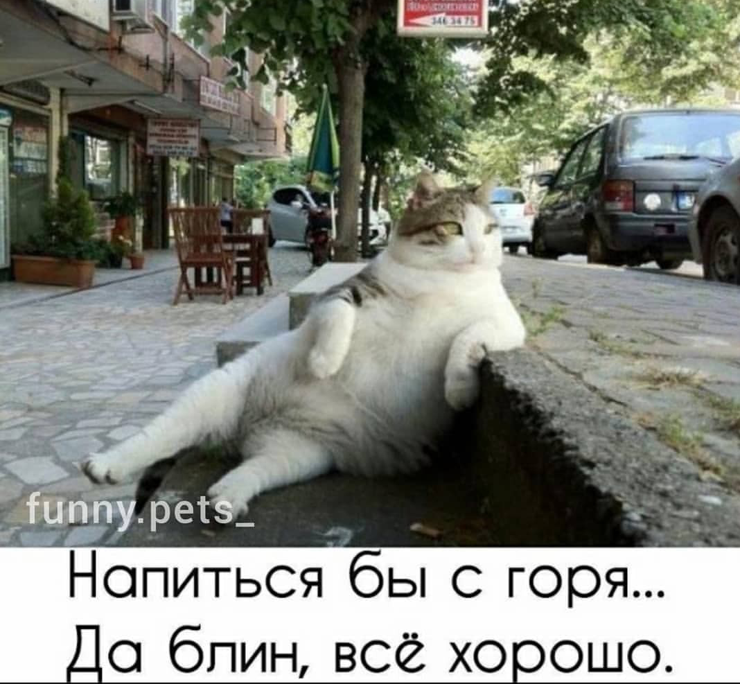 https://upforme.ru/uploads/0014/e2/36/175/544438.png