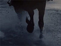 https://upforme.ru/uploads/0014/e5/59/2/552144.gif