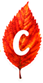https://upforme.ru/uploads/0014/eb/ea/797/245924.png