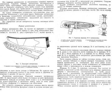 https://upforme.ru/uploads/0014/f6/ef/11/t563588.jpg