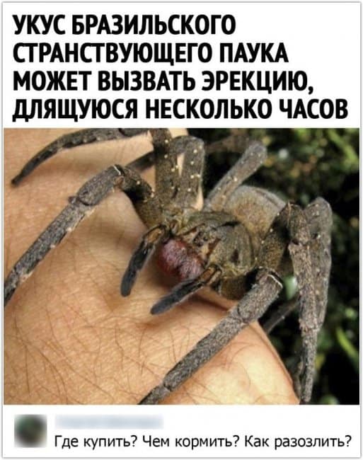 https://upforme.ru/uploads/0015/14/ca/5/45885.jpg