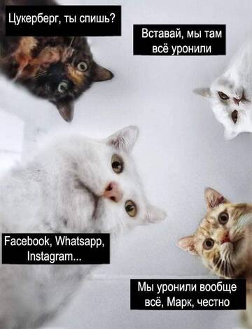 https://upforme.ru/uploads/0015/14/ca/9/t553802.jpg