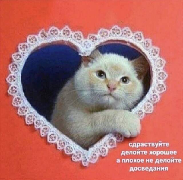https://upforme.ru/uploads/0015/94/f6/5/156276.jpg