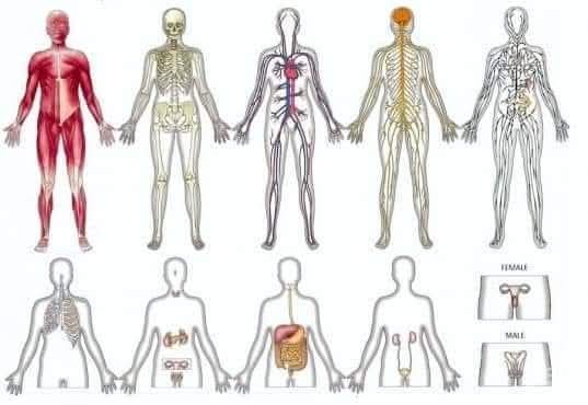 ���������������