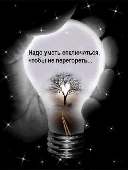 ����� ��� ��������. ����� � �������