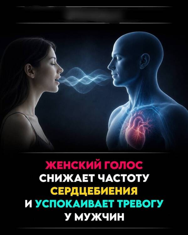 ��� ���������