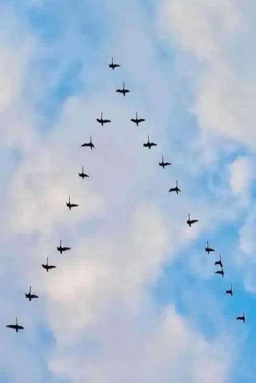 Это интересно Это интересно