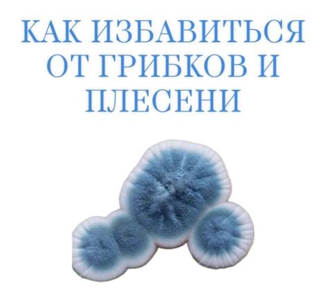 Самодиагностика Самодиагностика