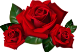 https://upforme.ru/uploads/0015/e5/72/2/210190.png