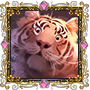 https://upforme.ru/uploads/0015/e5/72/630/t84523.png